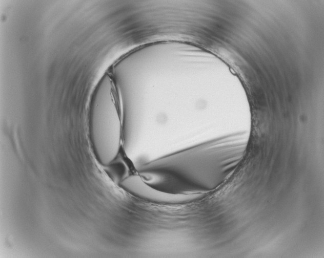 X0000088601140200706151755