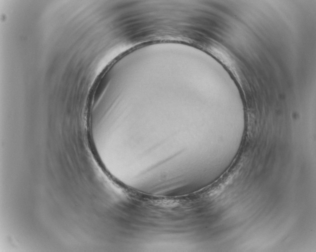 X0000088601141200706151755