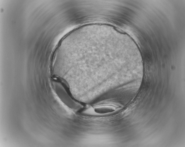 X0000088601142200706151755