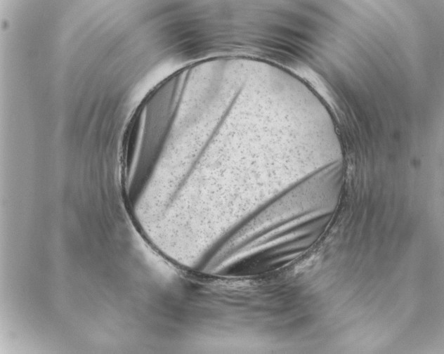 X0000088601143200706151755