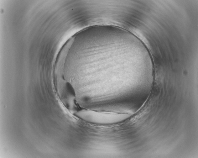 X0000088601144200706151755