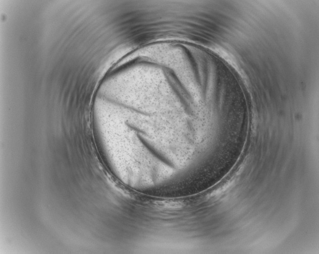 X0000088601145200706151755