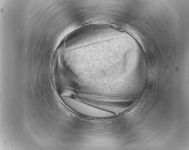 X0000088601146200706151755