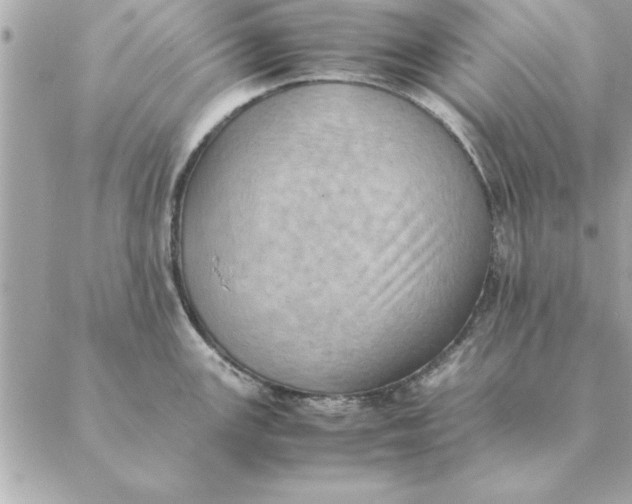 X0000088601147200706151755