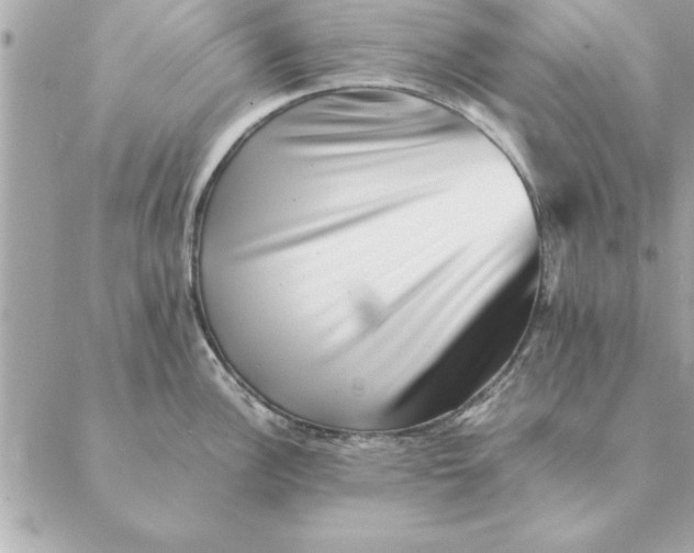 X0000088601148200706151755