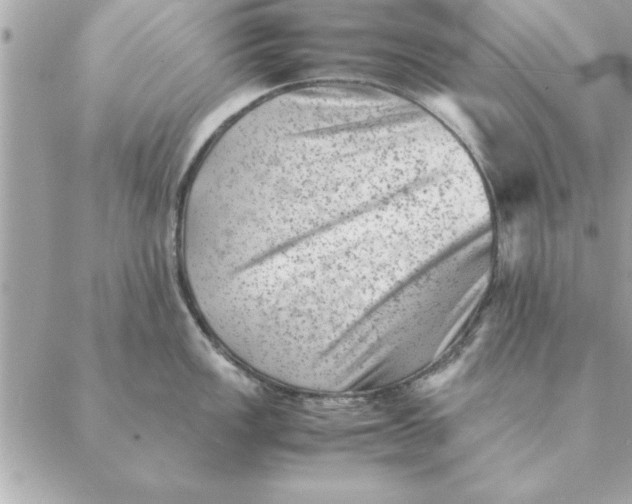 X0000088601149200706151755