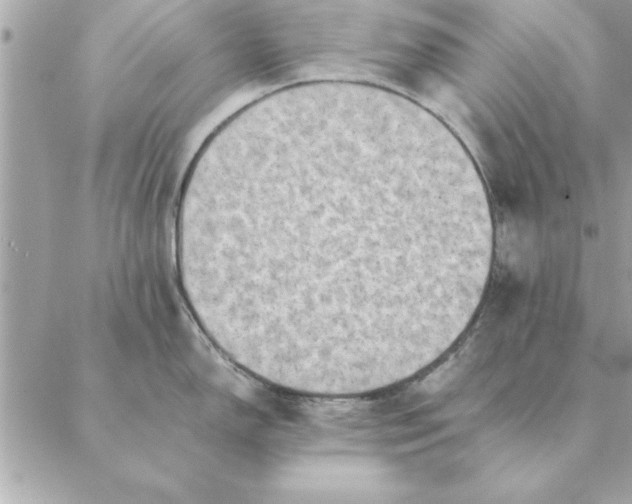 X0000088601150200706151755