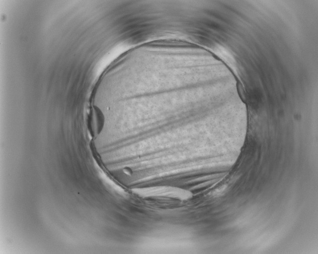 X0000088601151200706151755