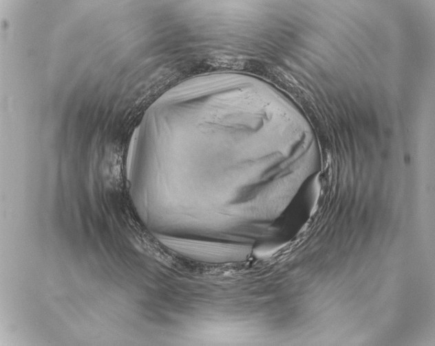 X0000088601154200706151754