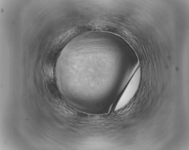 X0000088601155200706151754