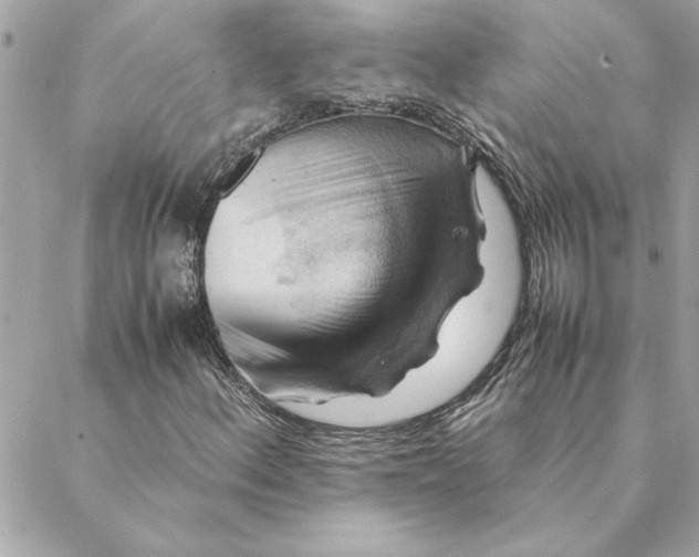 X0000088601156200706151754