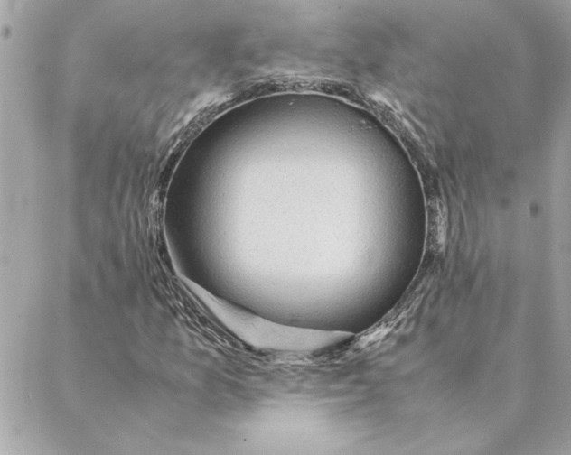 X0000088601157200706151754