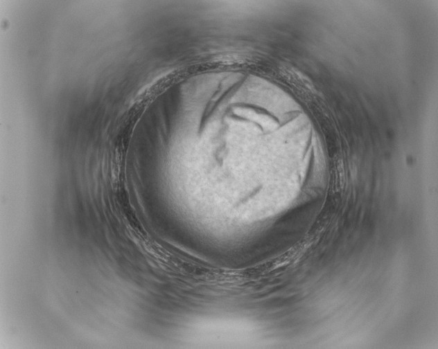 X0000088601158200706151754