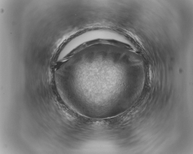 X0000088601160200706151754