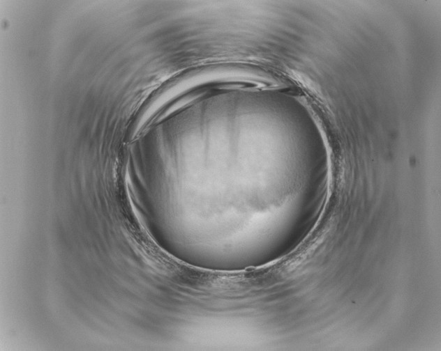 X0000088601161200706151754