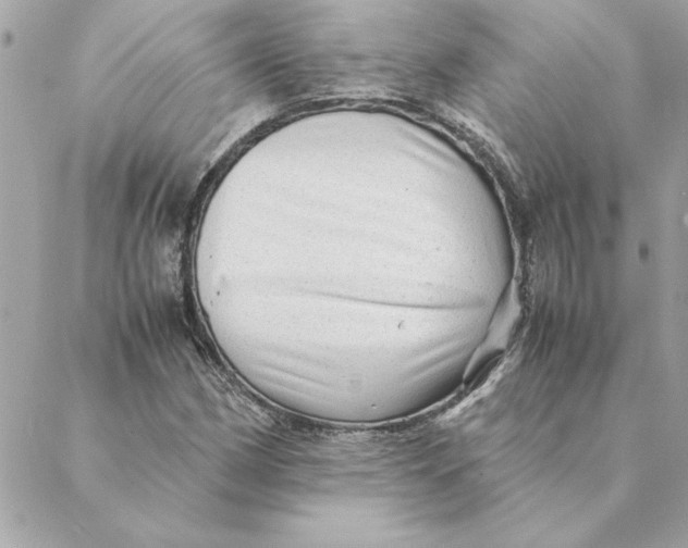 X0000088601162200706151754