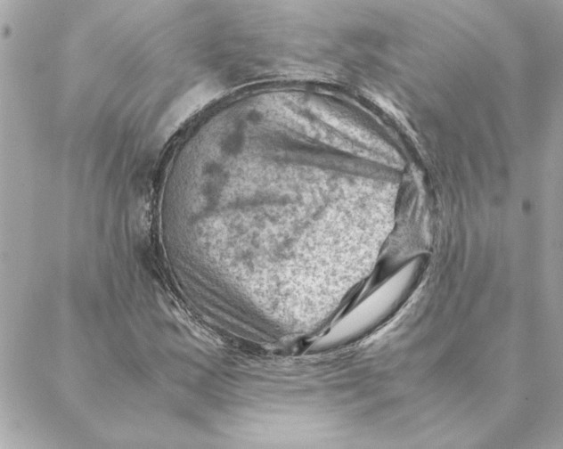 X0000088601163200706151754