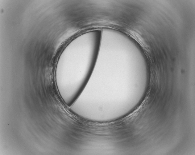 X0000088601164200706151754