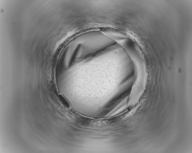 X0000088601165200706151754