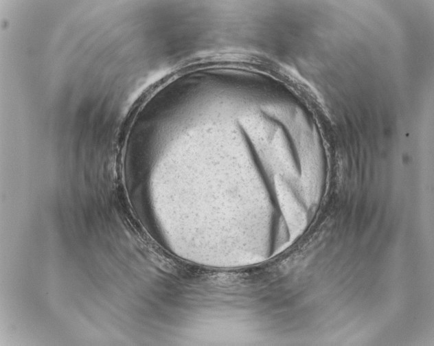 X0000088601166200706151754