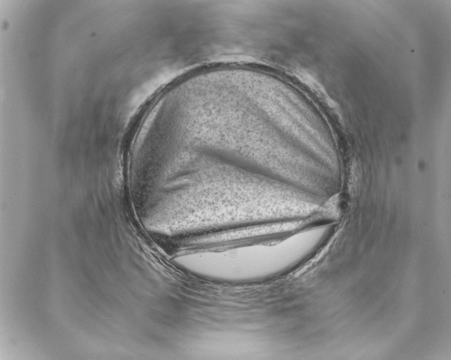 X0000088601167200706151754