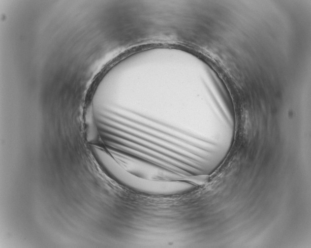 X0000088601168200706151754