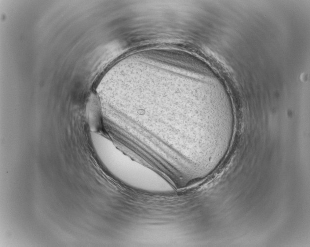 X0000088601169200706151754