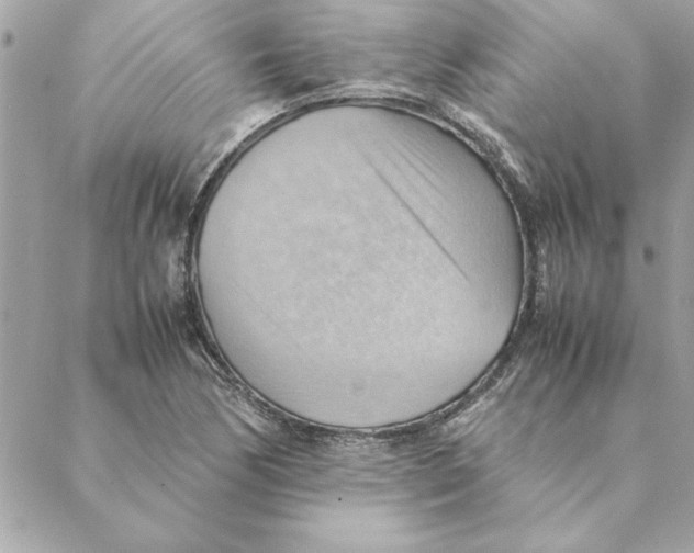 X0000088601170200706151754