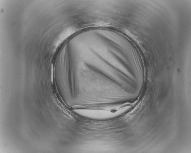 X0000088601171200706151754