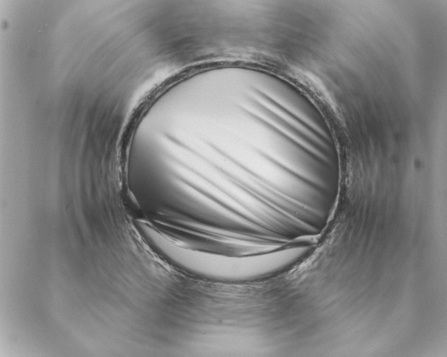 X0000088601172200706151754