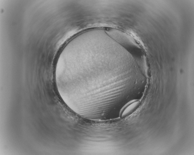 X0000088601173200706151754