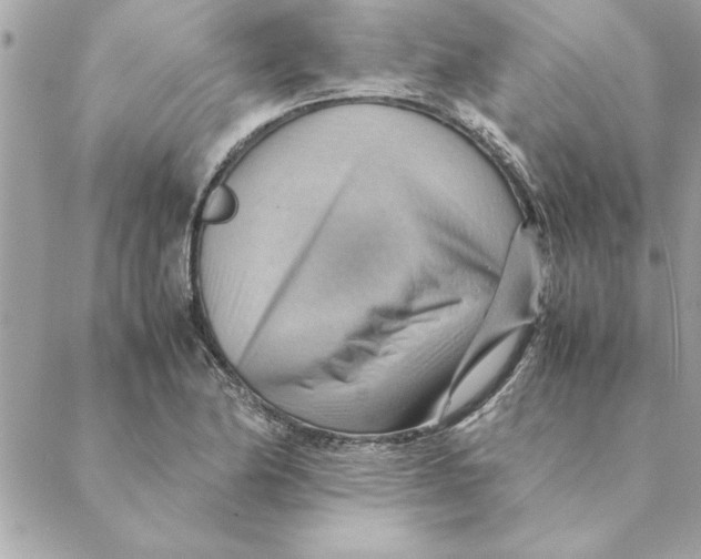 X0000088601174200706151754