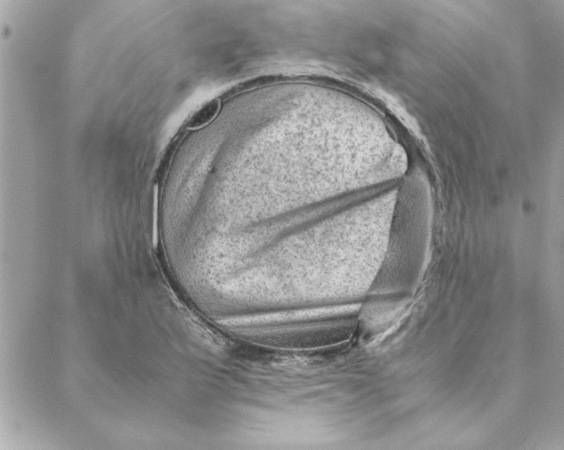 X0000088601175200706151754