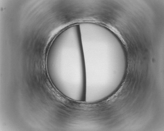 X0000088601176200706151754