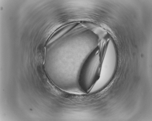 X0000088601177200706151754