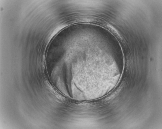 X0000088601178200706151754