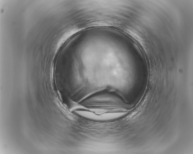 X0000088601179200706151754