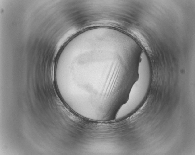 X0000088601180200706151754