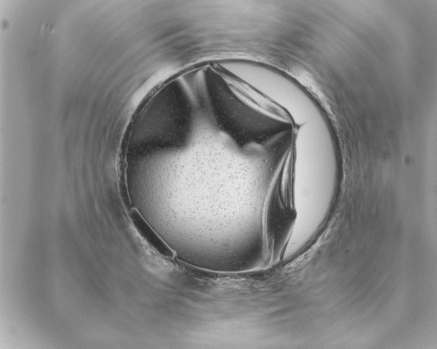 X0000088601181200706151754