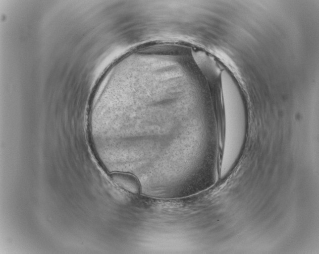 X0000088601183200706151754