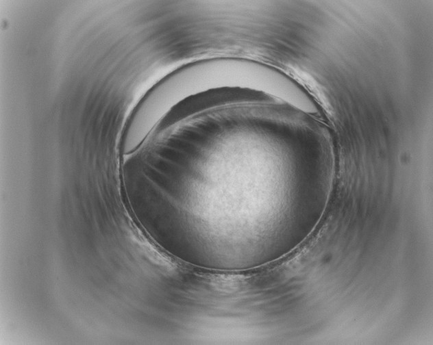 X0000088601184200706151754