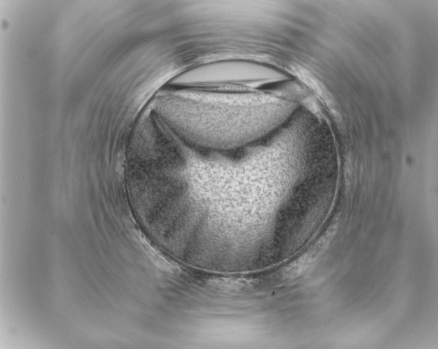 X0000088601185200706151754