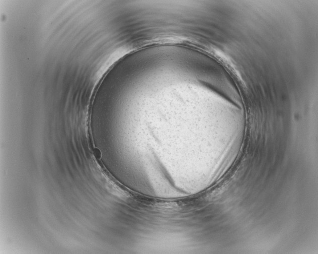 X0000088601186200706151754