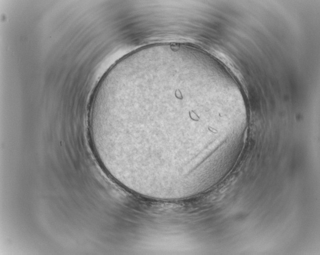 X0000088601187200706151754