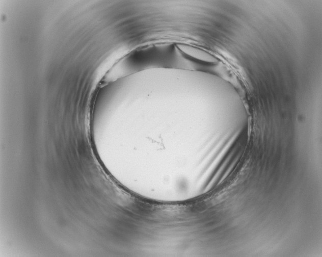 X0000088601188200706151754