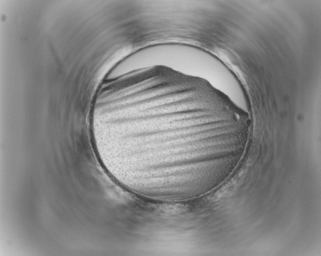 X0000088601189200706151754