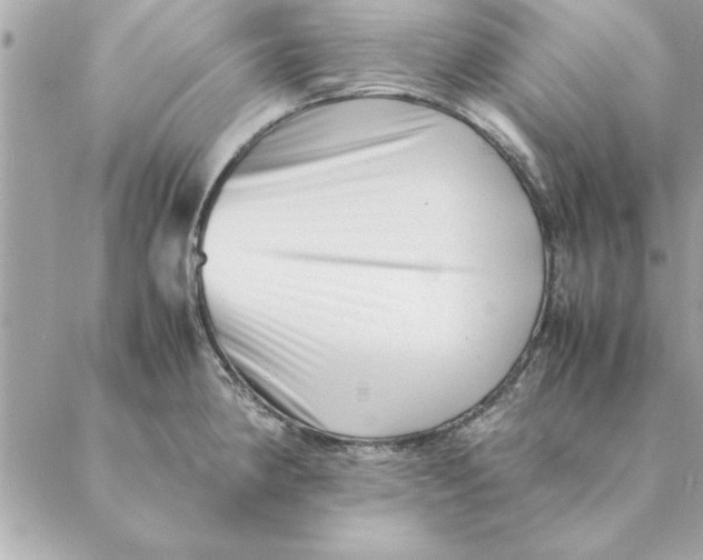 X0000088601190200706151754