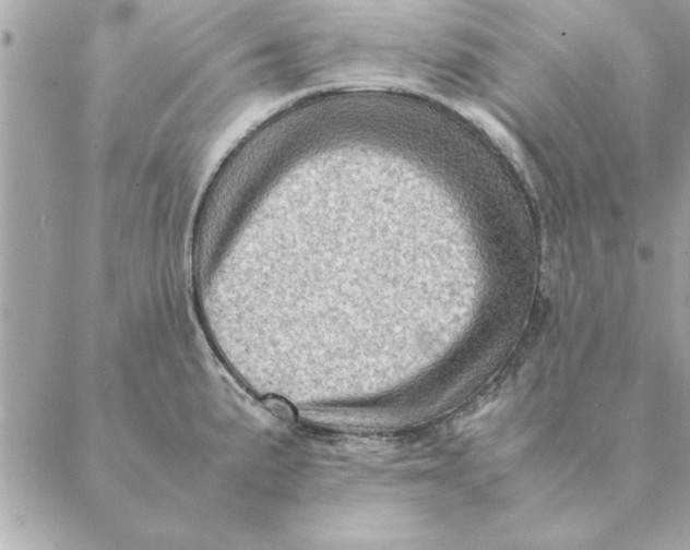 X0000088601191200706151753