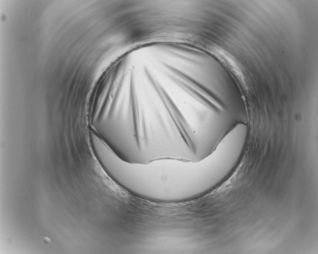 X0000088601192200706151753