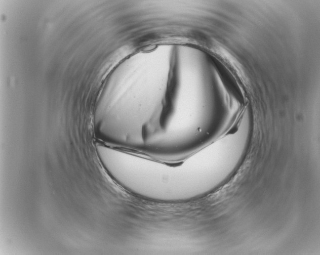 X0000088601193200706151753